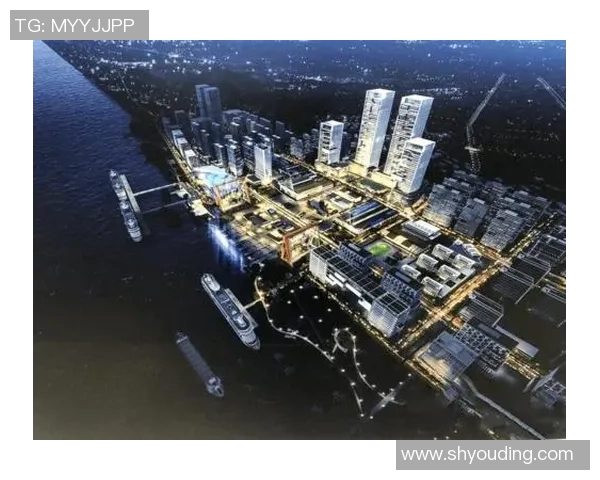 南京排球队阵地战分析：优劣势与未来发展方向探讨