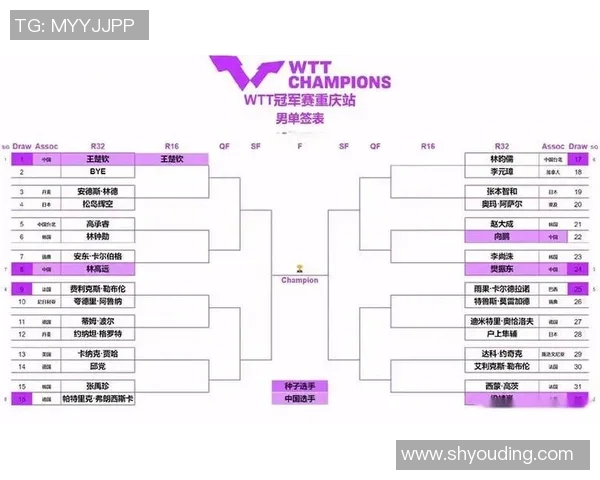 成都乒乓球队技术解析与发展探讨聚焦乒乓球运动的未来之路