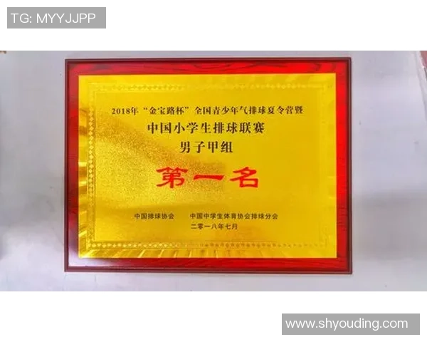 杭州排球队心理素质排名第十揭示排球运动员心理素质的重要性与发展潜力