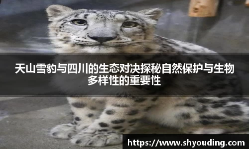 bsports必一体育