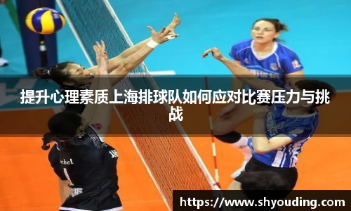 提升心理素质上海排球队如何应对比赛压力与挑战
